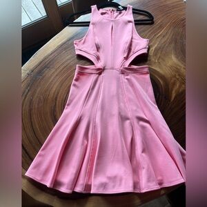 Zac Posen Pink Cutout Fit & Flare Dress